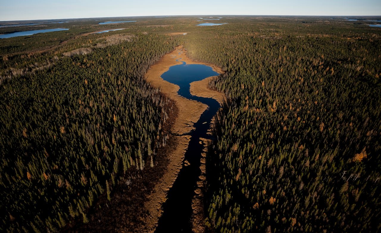 Rivers and forests east of Neskantaga, Ont., on Saturday, Oct., 25, 2025.